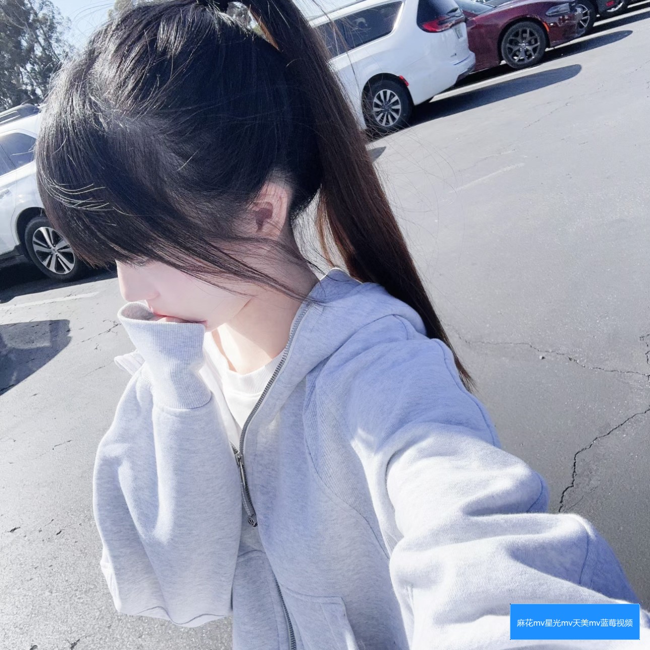 麻花mv、果冻mv、梦幻mv和蘑菇mv有哪些不同之处及其背后故事